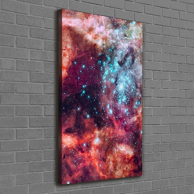 Quadro foto su tela verticale Nube di Magellano