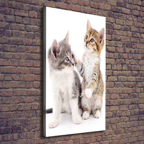 Quadro su tela canvas verticale Due gattini