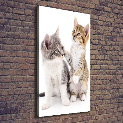 Quadro su tela canvas verticale Due gattini