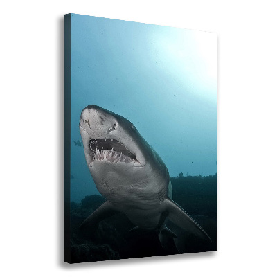 Stampa quadro su tela verticale Grande squalo