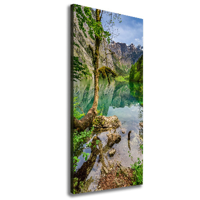 Quadro su tela canvas verticale Lago tra le montagne