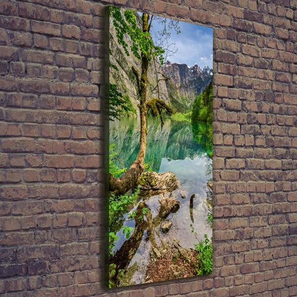 Quadro su tela canvas verticale Lago tra le montagne