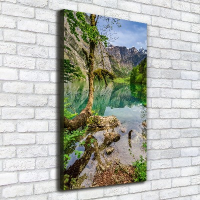 Quadro su tela canvas verticale Lago tra le montagne