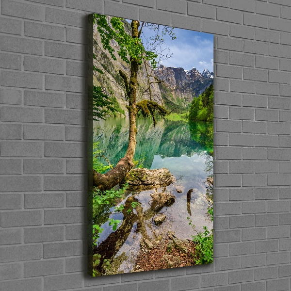 Quadro su tela canvas verticale Lago tra le montagne