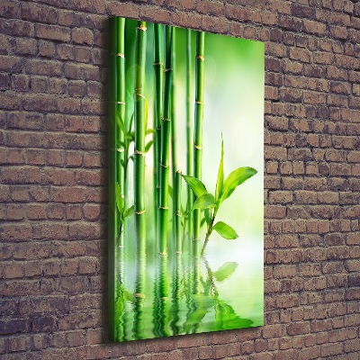 Quadro su tela canvas verticale Bambù in acqua