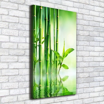 Quadro su tela canvas verticale Bambù in acqua