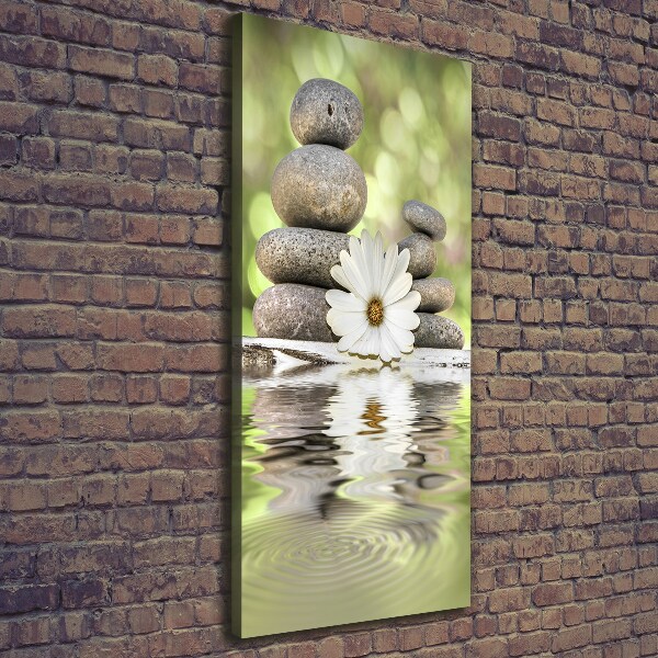 Stampa quadro su tela verticale Pietre e fiori