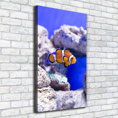 Quadro foto su tela verticale Nemo il pesce