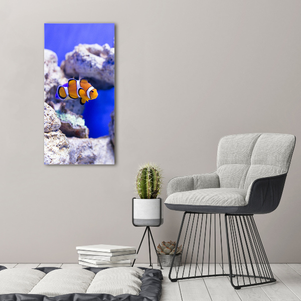 Quadro foto su tela verticale Nemo il pesce
