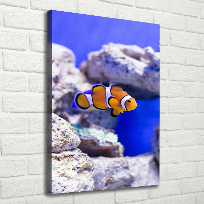 Quadro foto su tela verticale Nemo il pesce