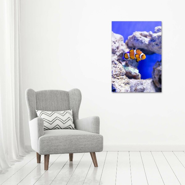 Quadro foto su tela verticale Nemo il pesce