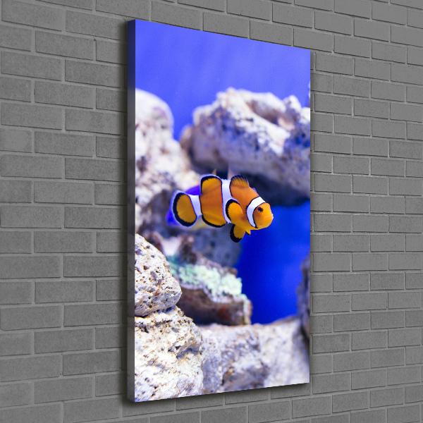 Quadro foto su tela verticale Nemo il pesce