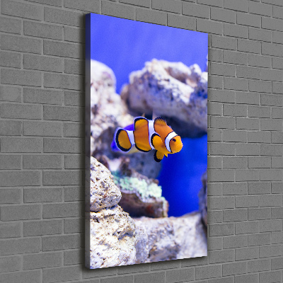Quadro foto su tela verticale Nemo il pesce