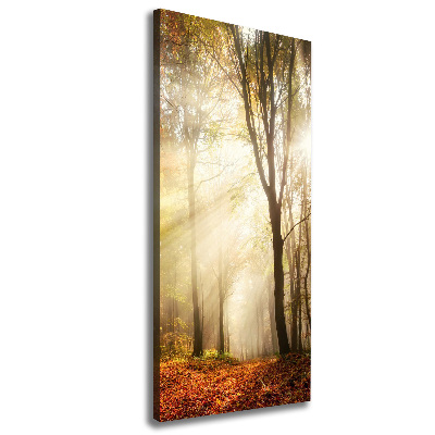 Quadro su tela canvas verticale Foresta in autunno