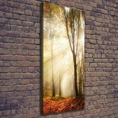 Quadro su tela canvas verticale Foresta in autunno