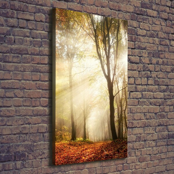 Quadro su tela canvas verticale Foresta in autunno