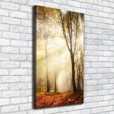 Quadro su tela canvas verticale Foresta in autunno