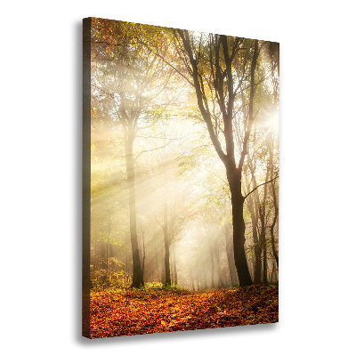 Quadro su tela canvas verticale Foresta in autunno