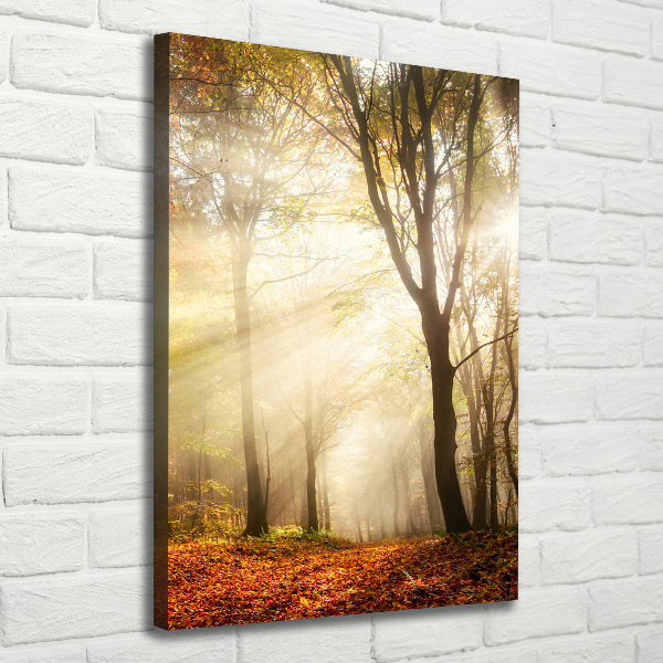 Quadro su tela canvas verticale Foresta in autunno