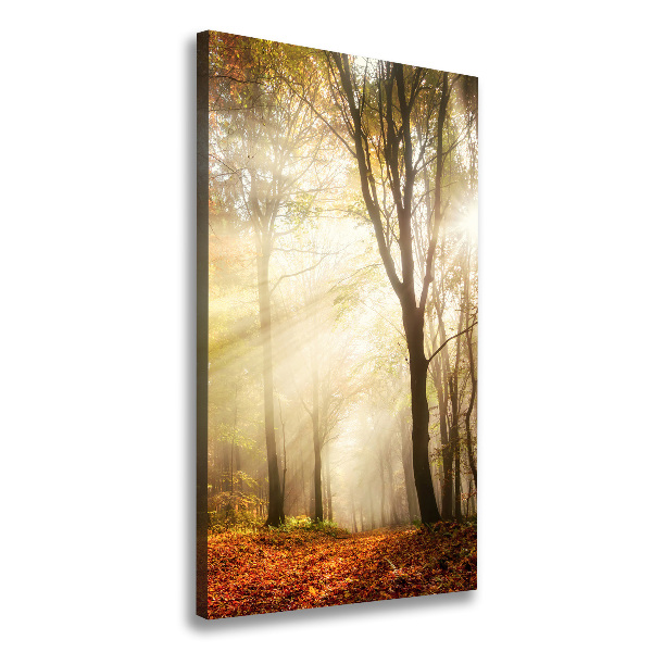 Quadro su tela canvas verticale Foresta in autunno