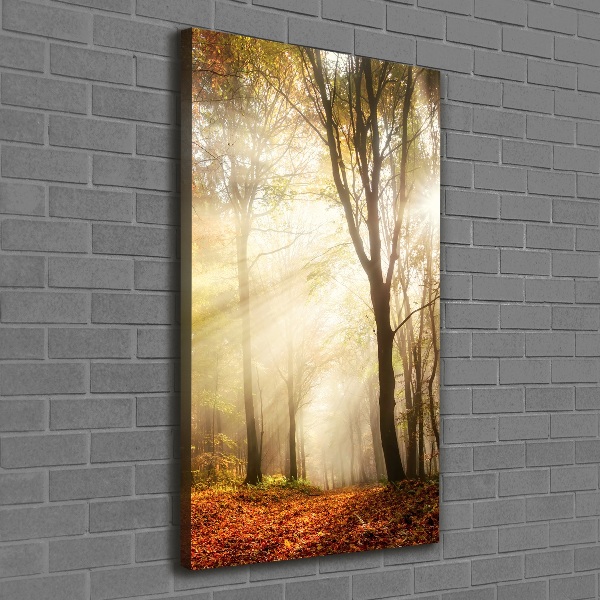 Quadro su tela canvas verticale Foresta in autunno
