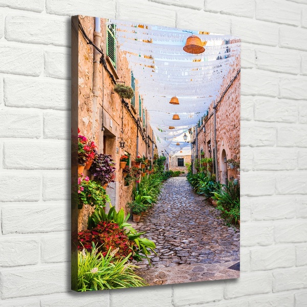 Quadro su tela canvas verticale Maiorca, Spagna