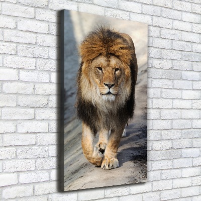 Quadro foto su tela verticale Leone