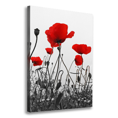 Quadro su tela canvas verticale Papaveri di campo
