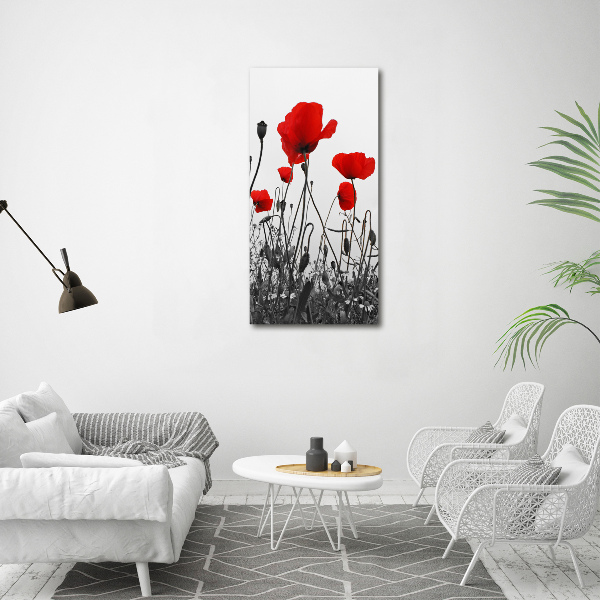 Quadro su tela canvas verticale Papaveri di campo