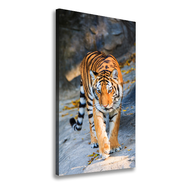 Quadro su tela canvas verticale Tigre