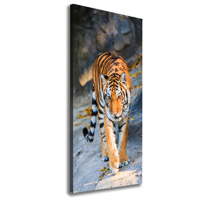 Quadro su tela canvas verticale Tigre
