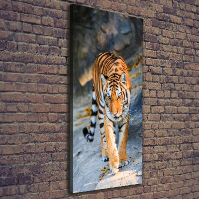 Quadro su tela canvas verticale Tigre