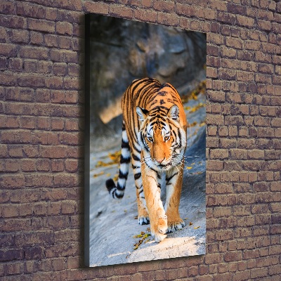 Quadro su tela canvas verticale Tigre