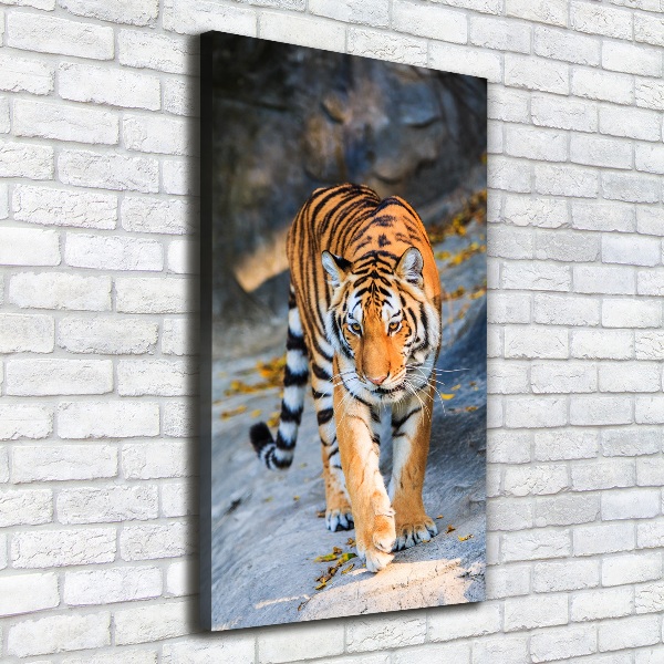 Quadro su tela canvas verticale Tigre
