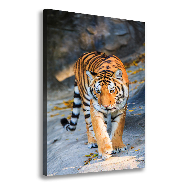 Quadro su tela canvas verticale Tigre