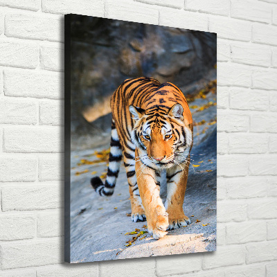 Quadro su tela canvas verticale Tigre