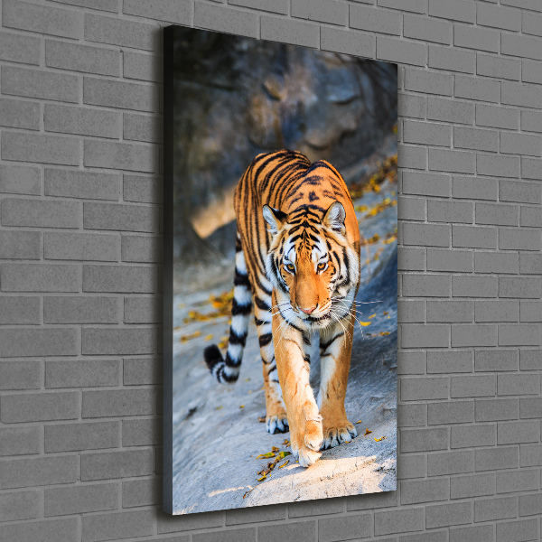 Quadro su tela canvas verticale Tigre
