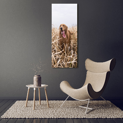 Stampa quadro su tela verticale Golden retriever