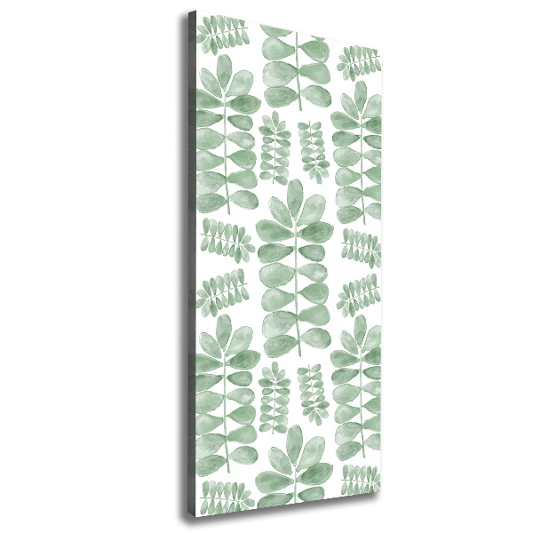 Quadro su tela canvas verticale Foglie di eucalipto