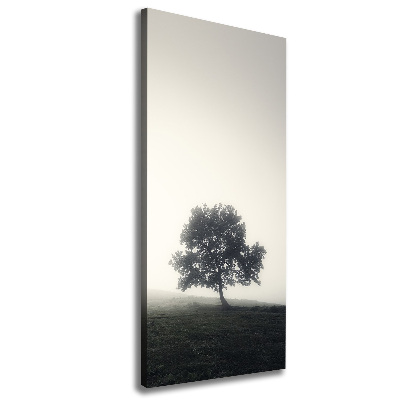 Stampa quadro su tela verticale Albero nella nebbia