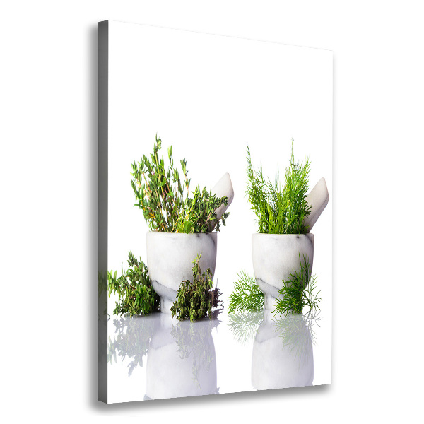Stampa quadro su tela verticale Mortai ed erbe
