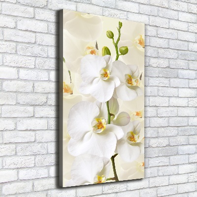 Quadro su tela canvas verticale Orchidea bianca