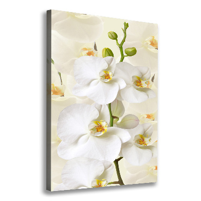 Quadro su tela canvas verticale Orchidea bianca