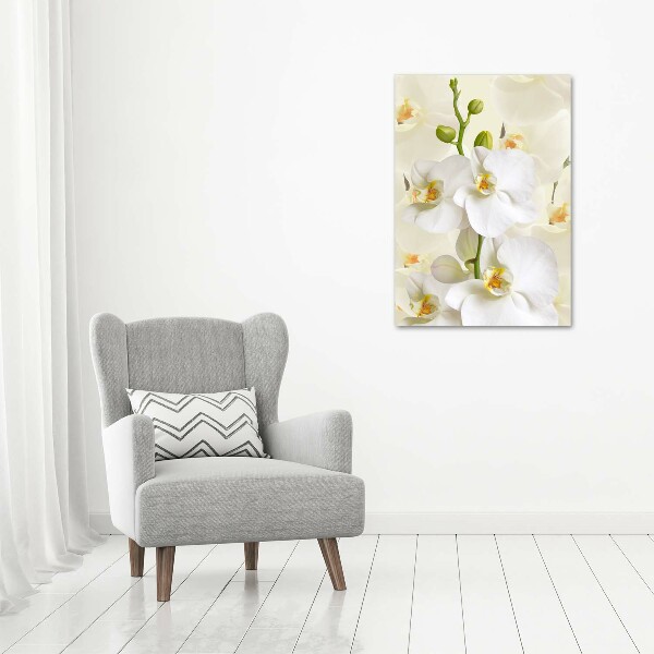 Quadro su tela canvas verticale Orchidea bianca