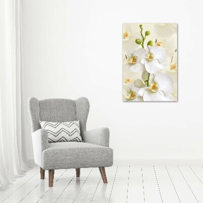 Quadro su tela canvas verticale Orchidea bianca