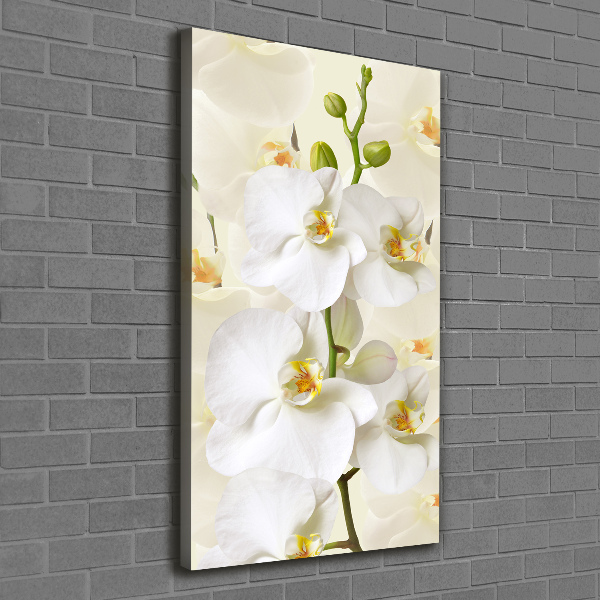 Quadro su tela canvas verticale Orchidea bianca