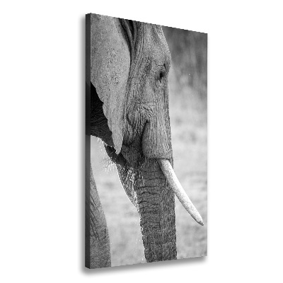 Quadro su tela canvas verticale Elefante