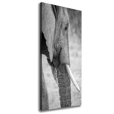Quadro su tela canvas verticale Elefante