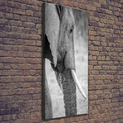 Quadro su tela canvas verticale Elefante