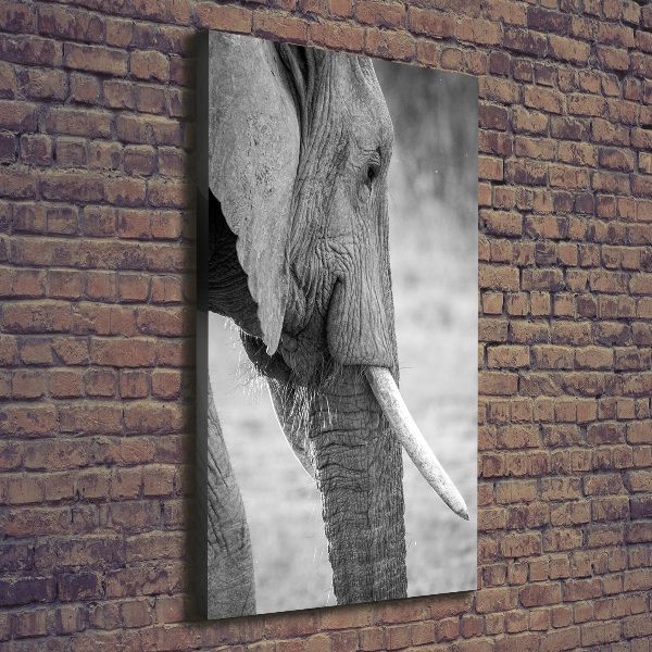 Quadro su tela canvas verticale Elefante